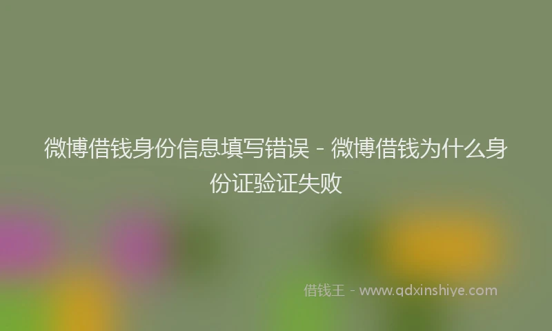 微博借钱身份信息填写错误 - 微博借钱为什么身份证验证失败