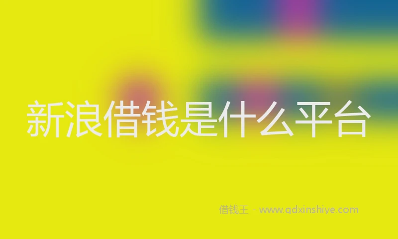 新浪借钱是什么平台