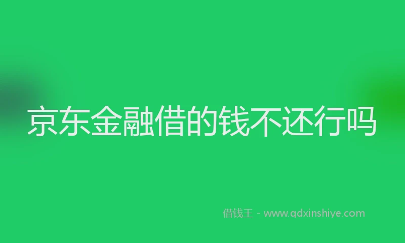 京东金融借的钱不还行吗