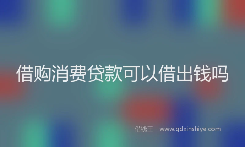 借购消费贷款可以借出钱吗