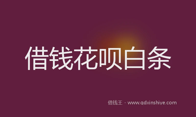 借钱花呗白条
