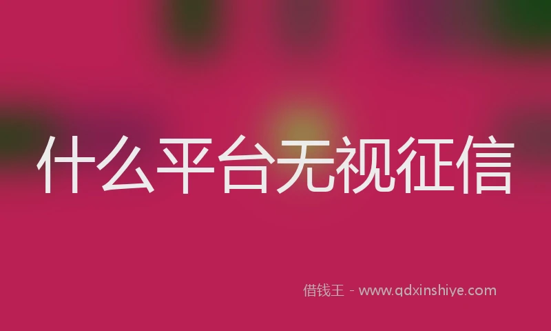 什么平台无视征信