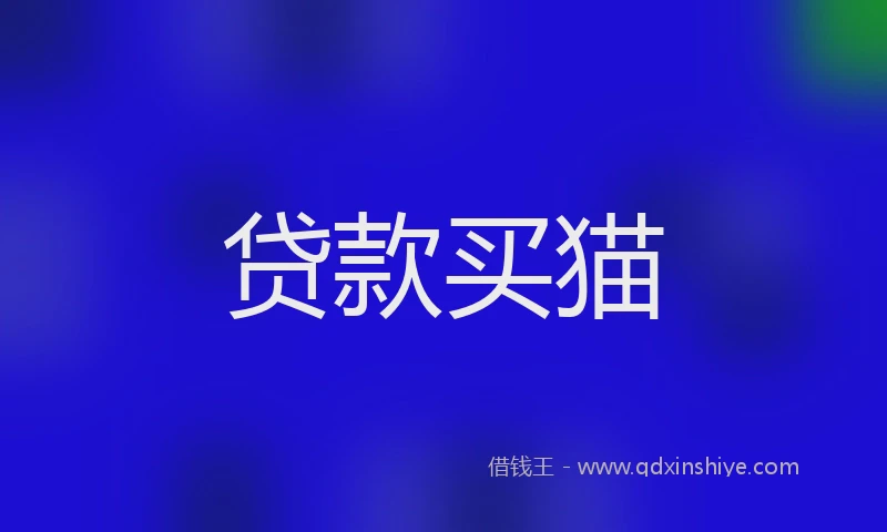 贷款买猫