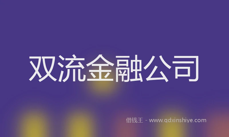 双流金融公司