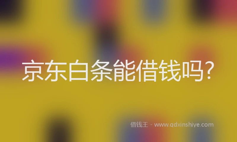 京东白条能借钱吗?