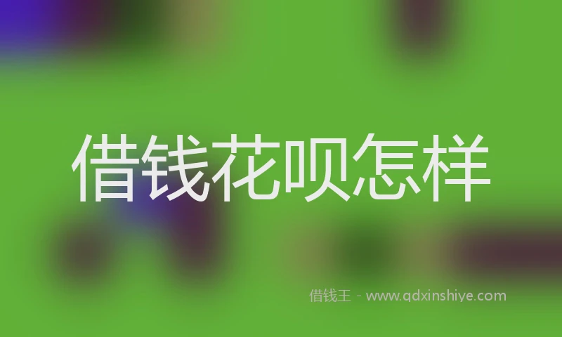 借钱花呗怎样