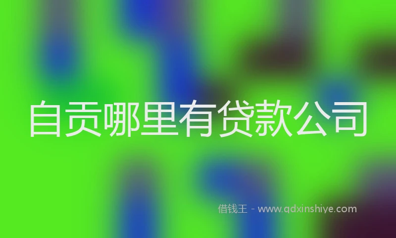 自贡哪里有贷款公司