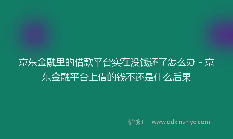 京东金融里的借款平台实在没钱还了怎么办 - 京东金融平台上借的钱不还是什么后果