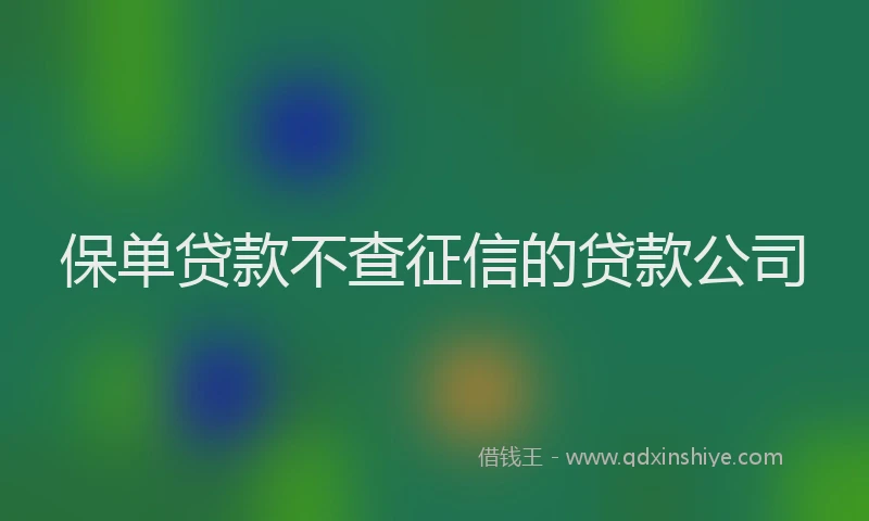 保单贷款不查征信的贷款公司