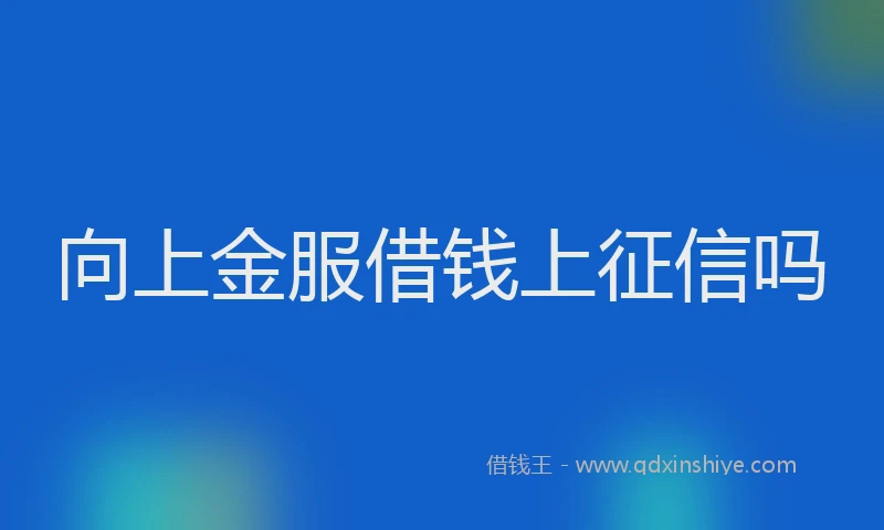 向上金服借钱上征信吗