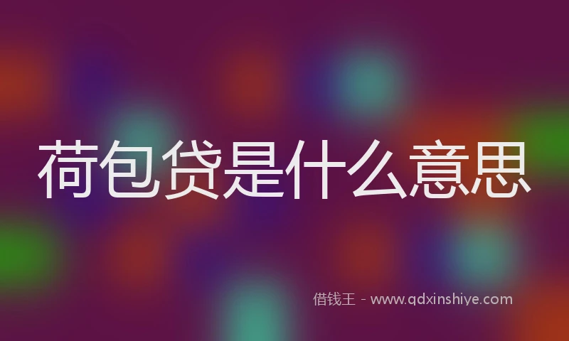 荷包贷是什么意思