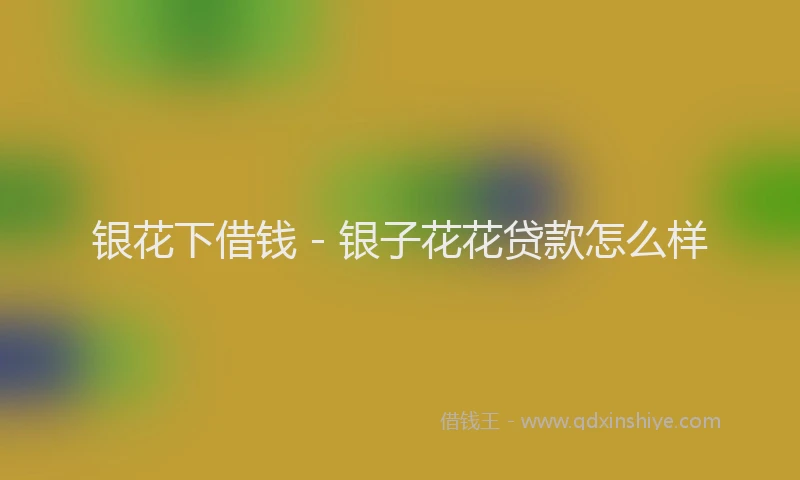 银花下借钱 - 银子花花贷款怎么样