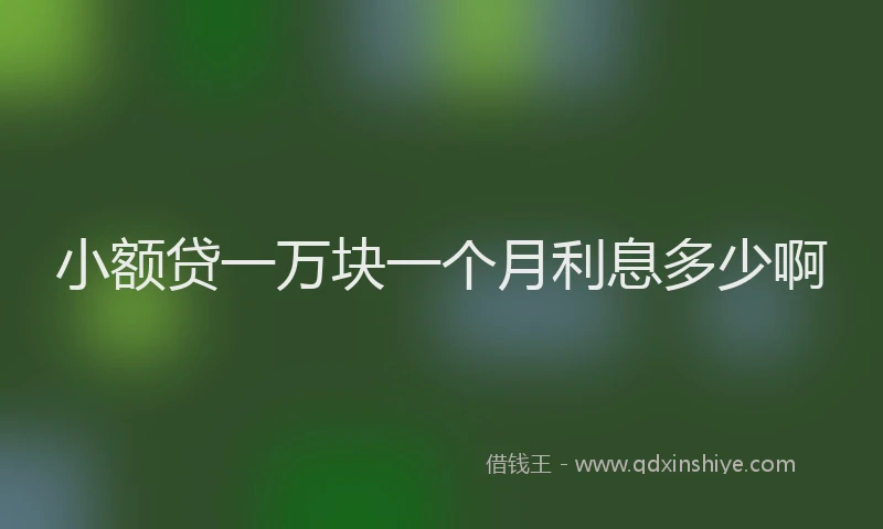 小额贷一万块一个月利息多少啊