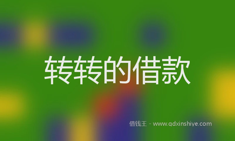 转转的借款