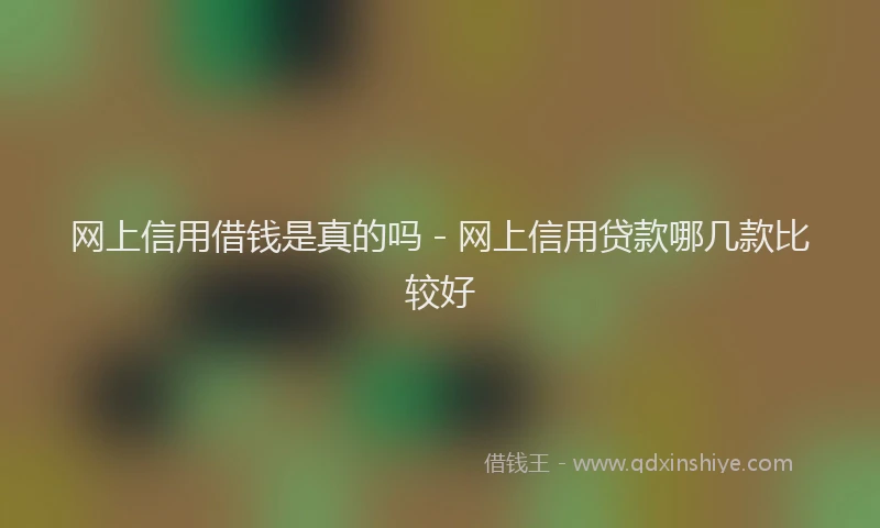 网上信用借钱是真的吗 - 网上信用贷款哪几款比较好