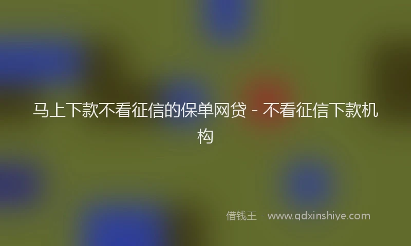 马上下款不看征信的保单网贷 - 不看征信下款机构