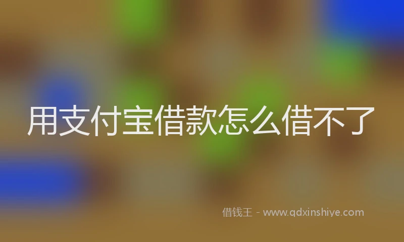 用支付宝借款怎么借不了