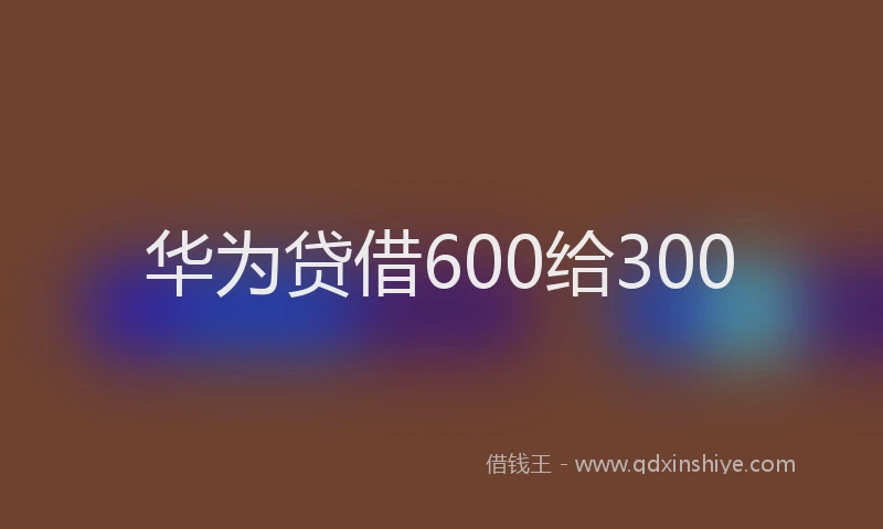 华为贷借600给300