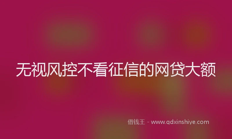 无视风控不看征信的网贷大额
