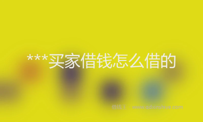 ***买家借钱怎么借的