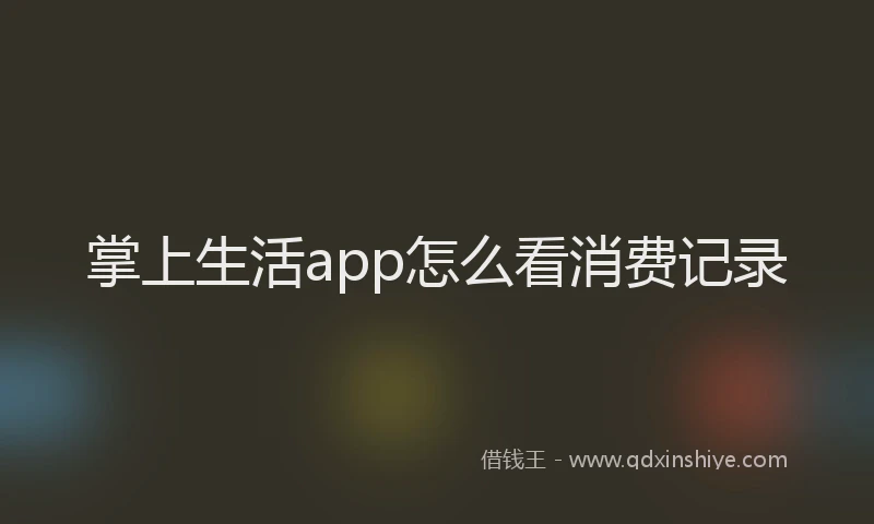 掌上生活app怎么看消费记录