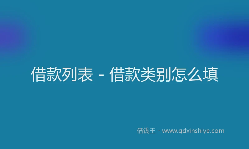 借款列表 - 借款类别怎么填