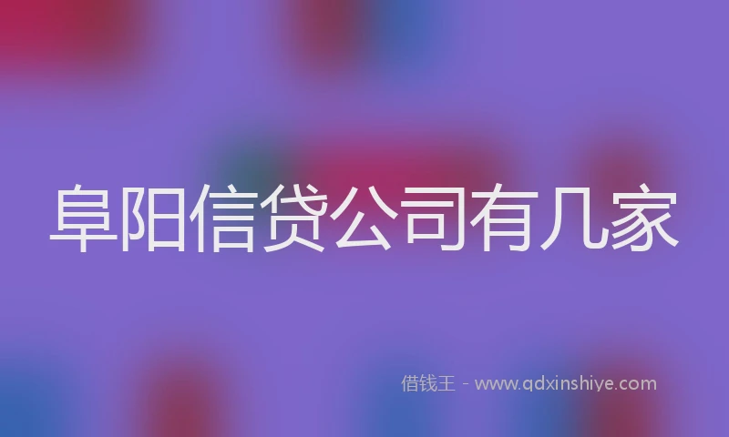 阜阳信贷公司有几家