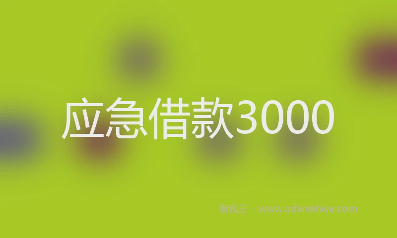 应急借款3000