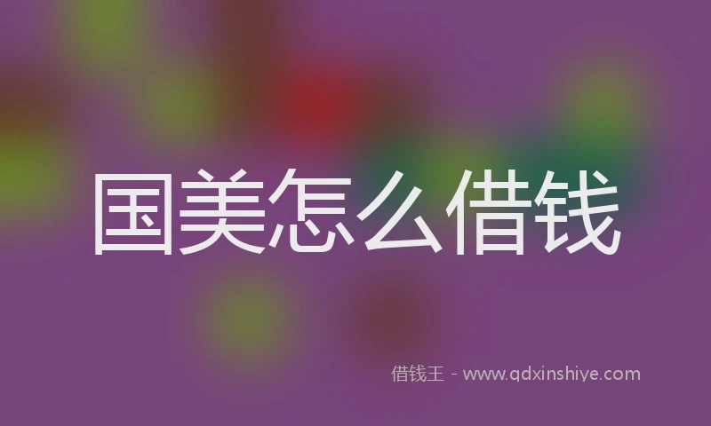 国美怎么借钱