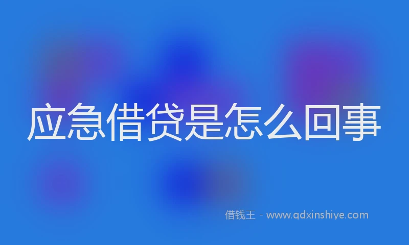 应急借贷是怎么回事
