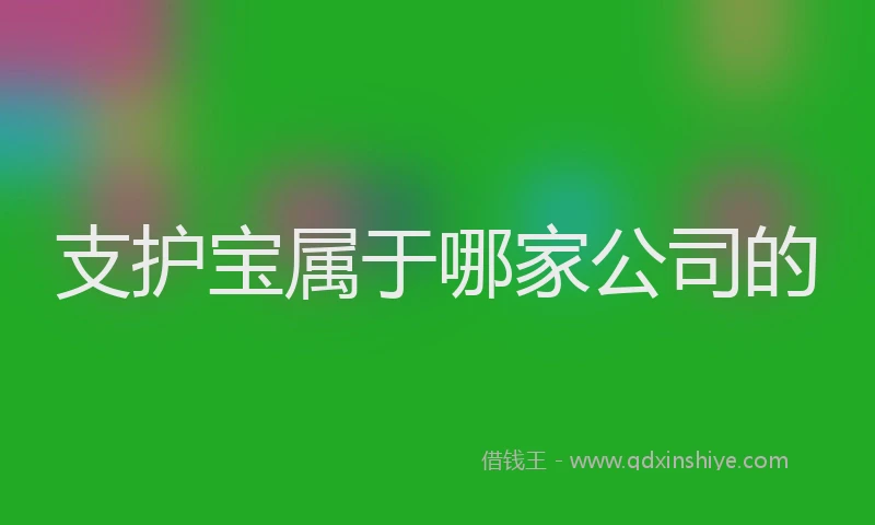 支护宝属于哪家公司的
