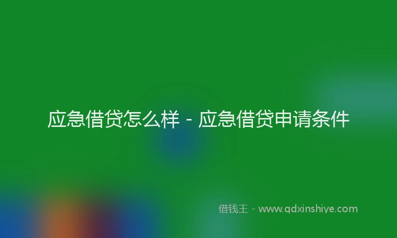 应急借贷怎么样 - 应急借贷申请条件
