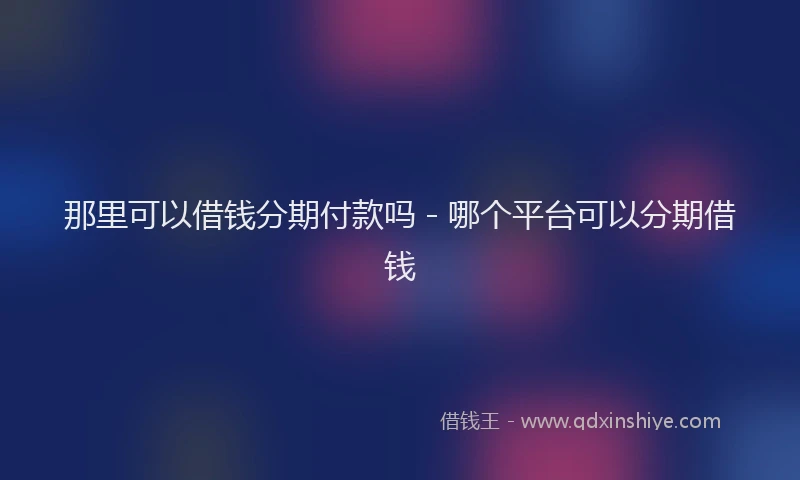 那里可以借钱分期付款吗 - 哪个平台可以分期借钱