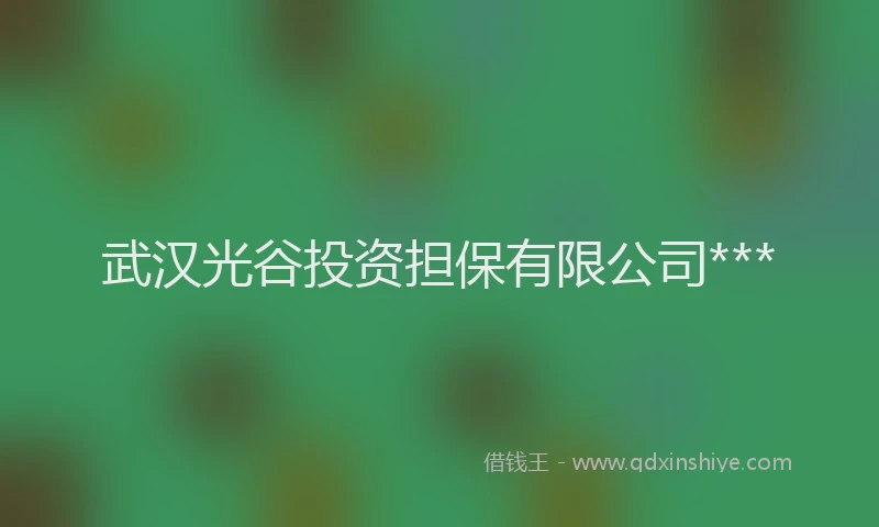 武汉光谷投资担保有限公司***