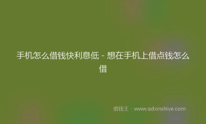 手机怎么借钱快利息低 - 想在手机上借点钱怎么借