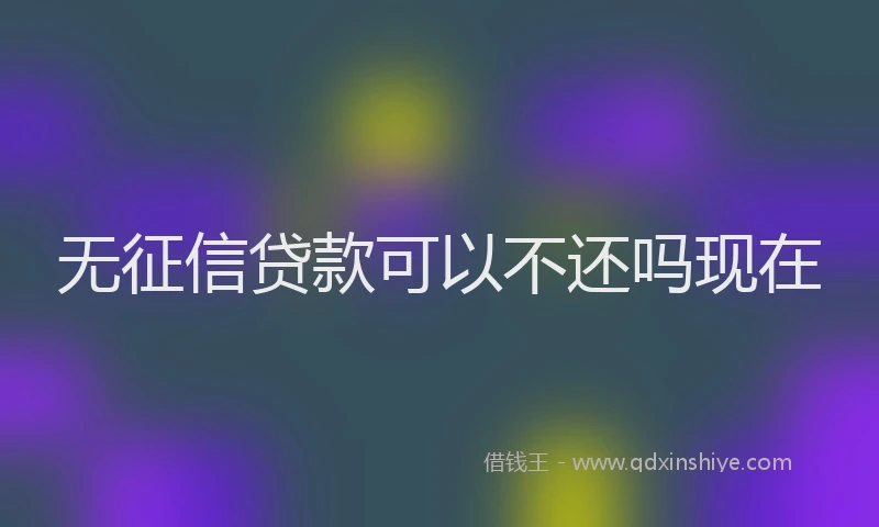 无征信贷款可以不还吗现在