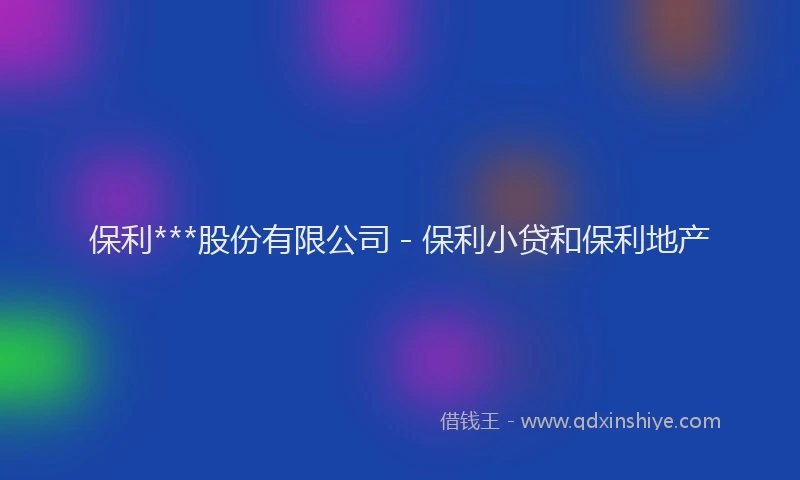 保利***股份有限公司 - 保利小贷和保利地产