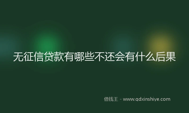 无征信贷款有哪些不还会有什么后果