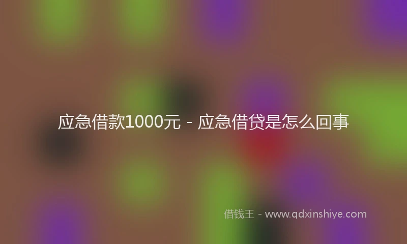 应急借款1000元 - 应急借贷是怎么回事