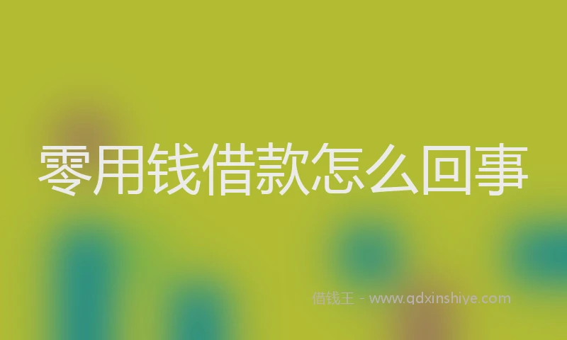 零用钱借款怎么回事