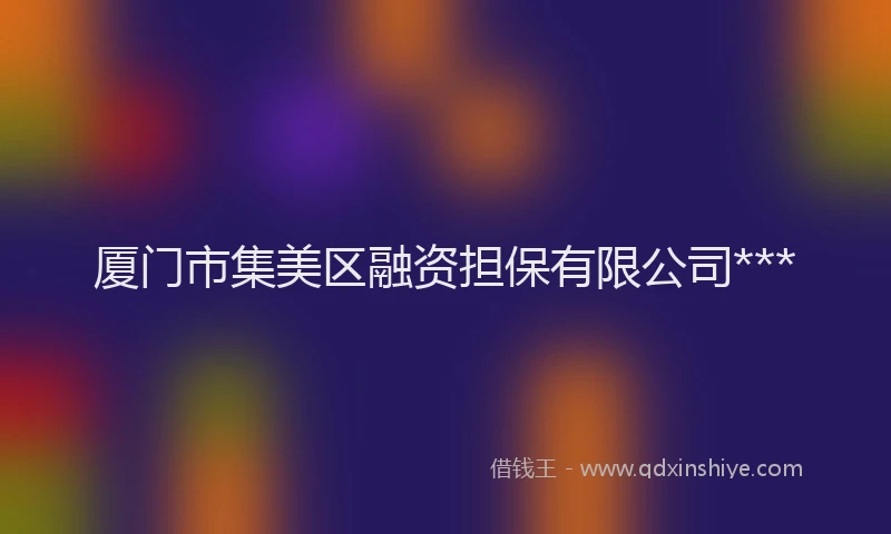 厦门市集美区融资担保有限公司***