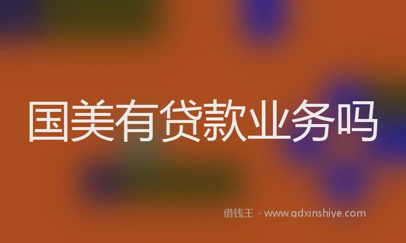 国美有贷款业务吗