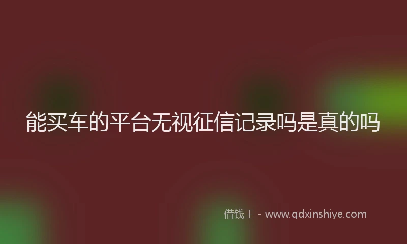 能买车的平台无视征信记录吗是真的吗