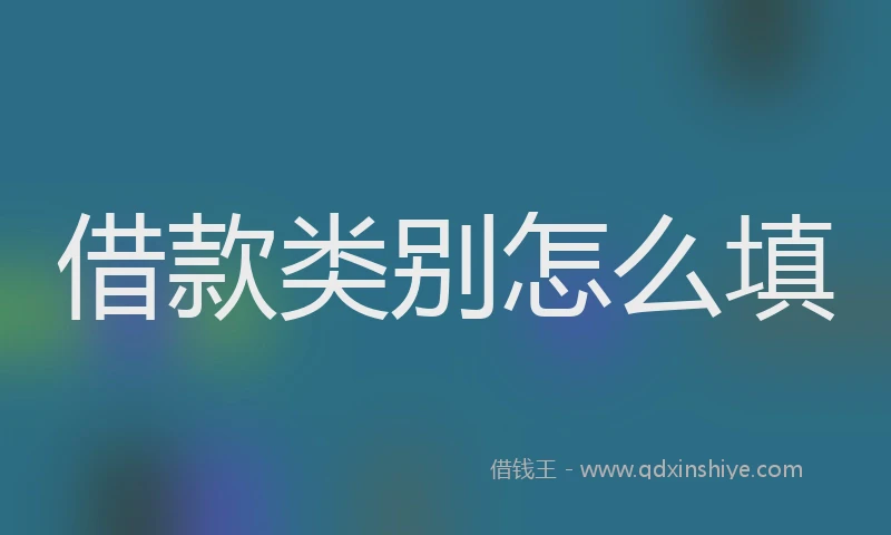 借款类别怎么填
