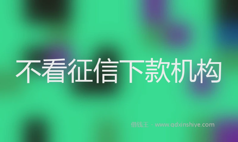 不看征信下款机构