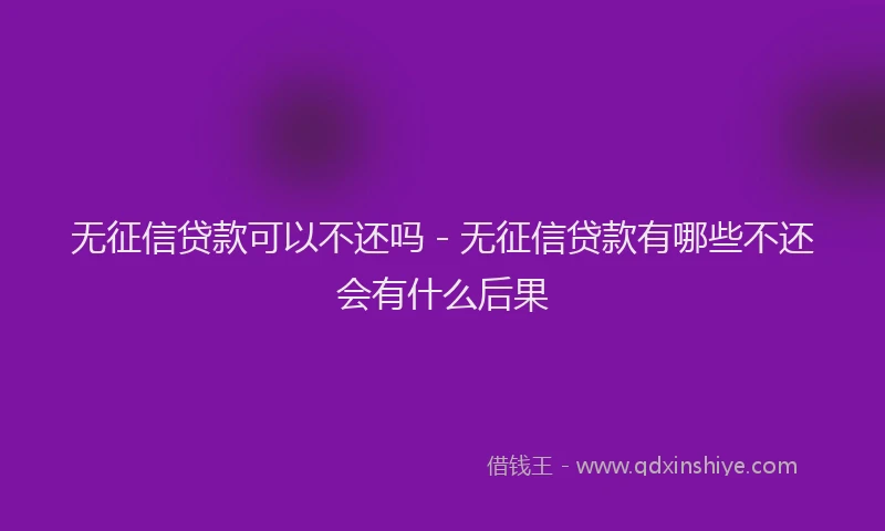 无征信贷款可以不还吗 - 无征信贷款有哪些不还会有什么后果
