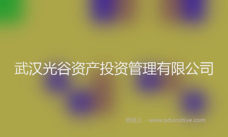 武汉光谷资产投资管理有限公司
