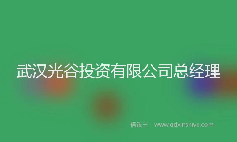 武汉光谷投资有限公司总经理