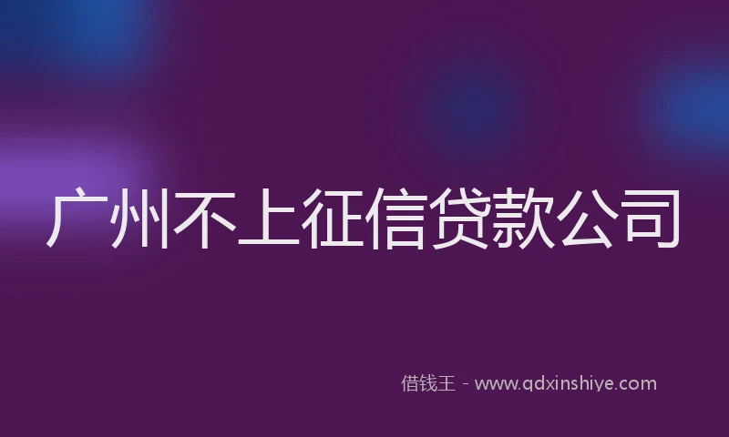 广州不上征信贷款公司