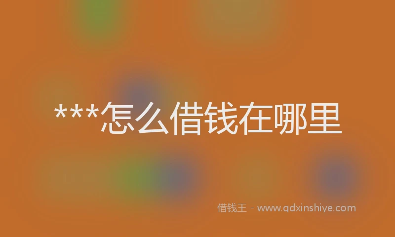 ***怎么借钱在哪里